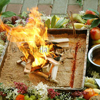 Fire Lab