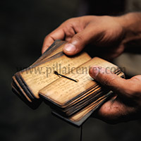 Nadi Astrology
