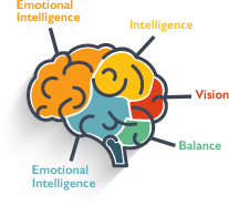 brain