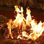 Individual Shreem Brzee Fire Lab