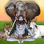 GRAND INVOCATION OF SHIVA PASHUPATI: DESTROY KARMIC BONDS & RECEIVE PROSPERITY BOONS